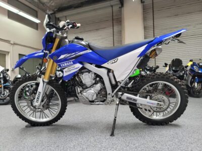 2017 Yamaha WR250R Dual Sport