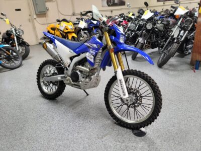 2017 Yamaha WR250R Dual Sport