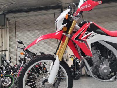 2013 Honda CRF250L Dual sport