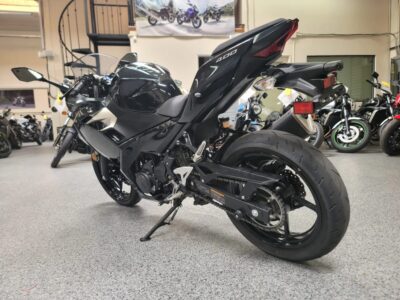 2019 Kawasaki Ninja 400