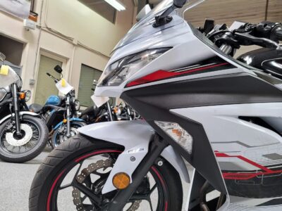 2014 Kawasaki Ninja 300 ABS SPECIAL EDITION