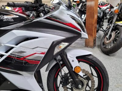 2014 Kawasaki Ninja 300 ABS SPECIAL EDITION