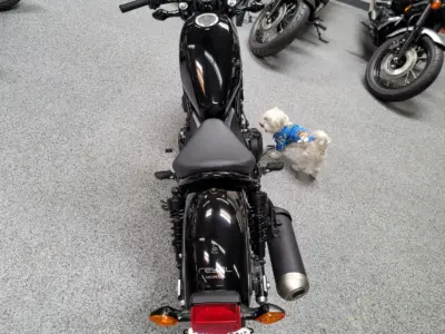2017 Honda Rebel 500