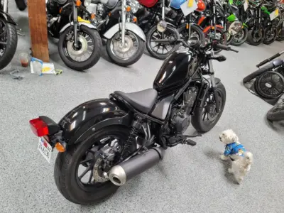 2017 Honda Rebel 500