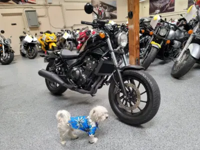 2017 Honda Rebel 500