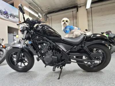 2017 Honda Rebel 500