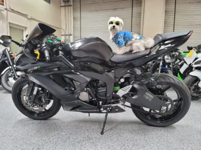 2015 Kawasaki Ninja 636 ZX6R