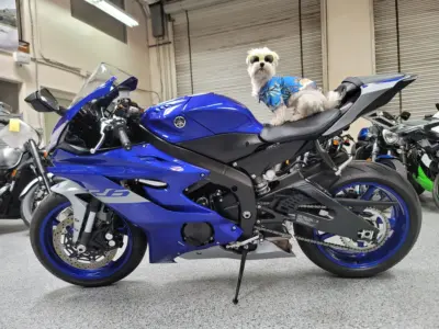2020 Yamaha R6