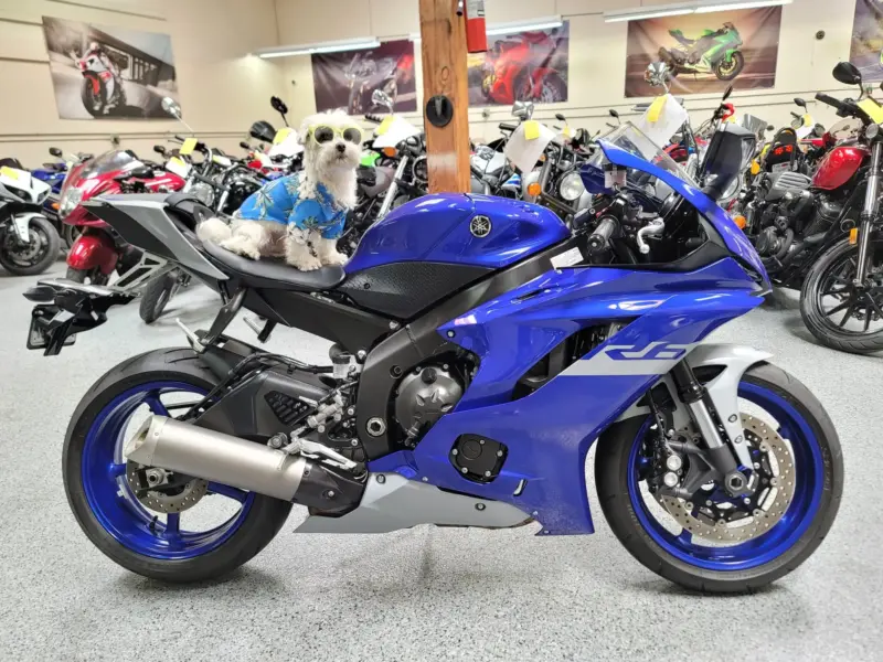 2020 Yamaha R6