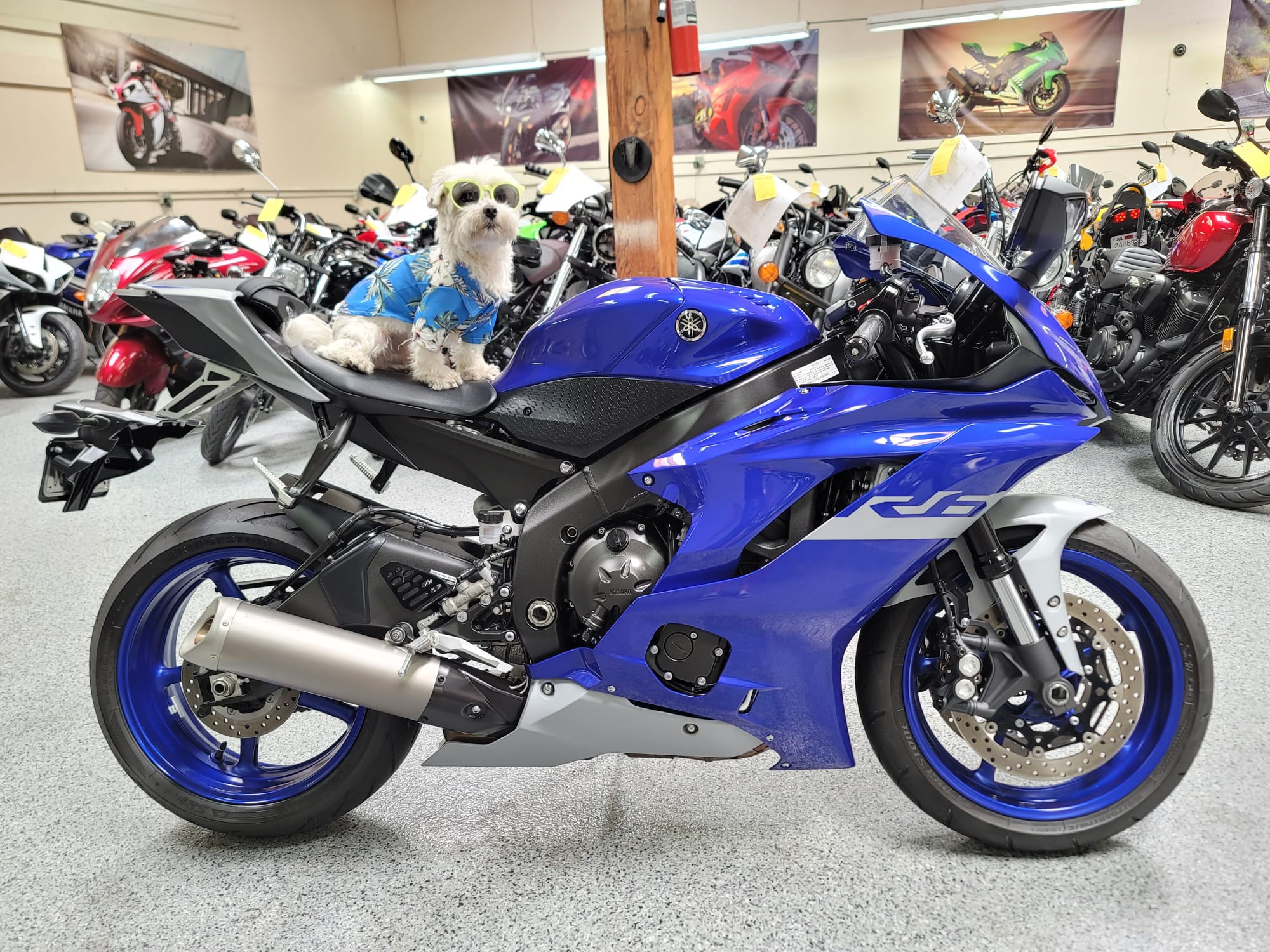 2020 Yamaha R6 - 1000 Miles | AK Motors