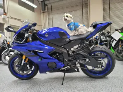 2018 Yamaha R6