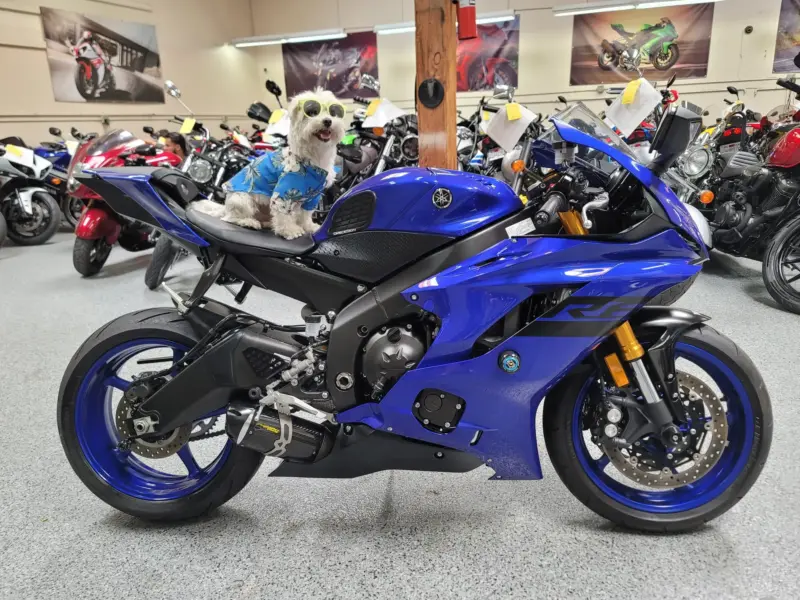 2018 Yamaha R6