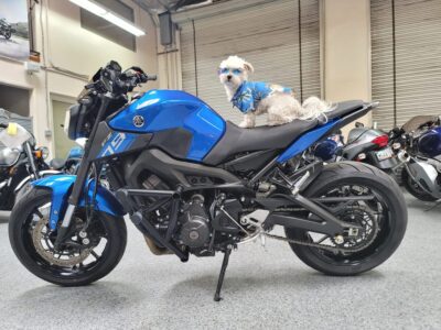 2016 Yamaha FZ09 FZ-09