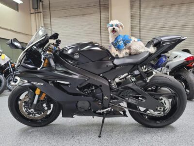 2017 Yamaha R6