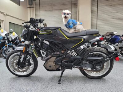 2019 Husqvarna 401 Svartpilen