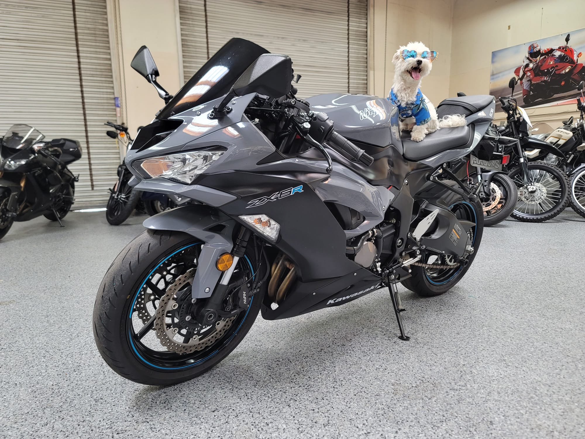 2019 Kawasaki Ninja 636 ZX6R - 5000 Miles | AK Motors