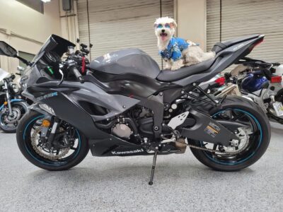 2019 Kawasaki Ninja 636 ZX6R