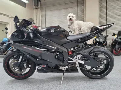 2006 YAMAHA R6 RAVEN