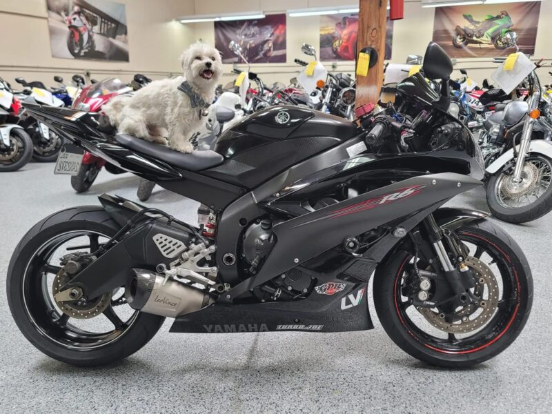 2006 YAMAHA R6 RAVEN