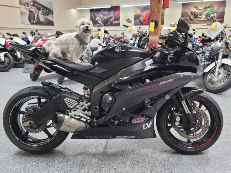 2006 YAMAHA R6 RAVEN