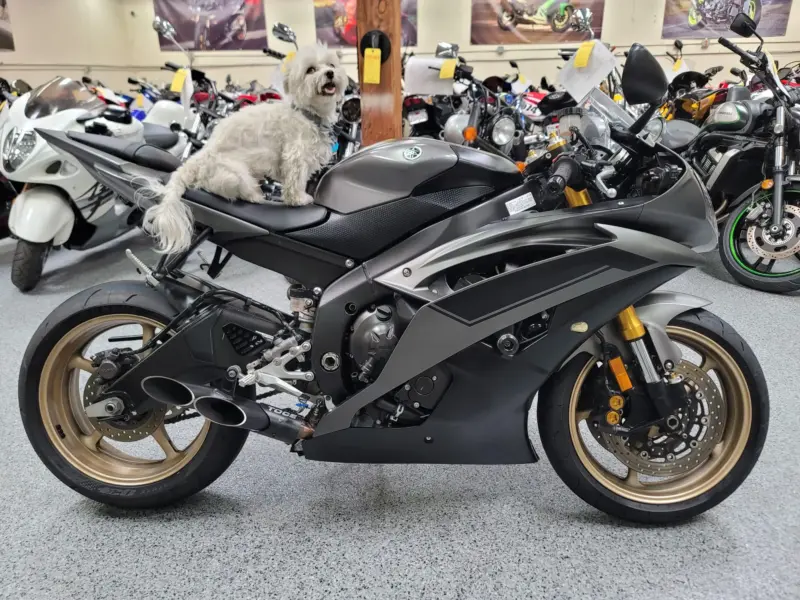 2014 Yamaha R6