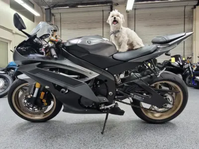 2014 Yamaha R6