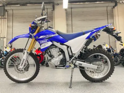 2015 Yamaha WR250R Dual Sport
