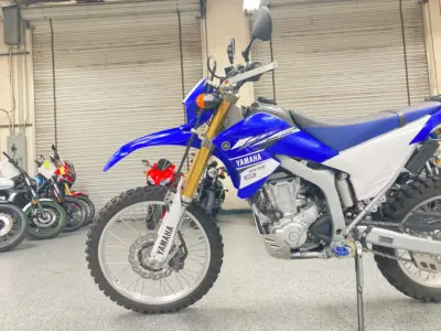 2015 Yamaha WR250R Dual Sport