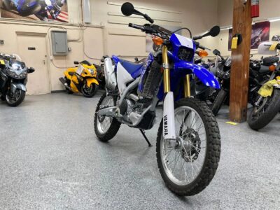 2019 Yamaha WR250R Dual Sport