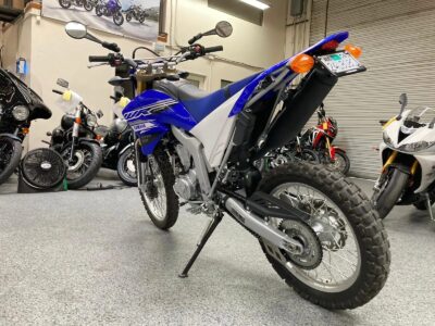 2019 Yamaha WR250R Dual Sport