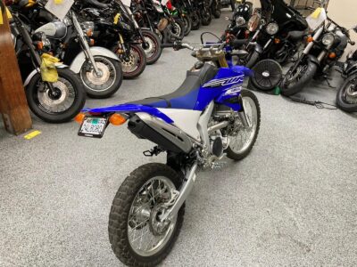 2019 Yamaha WR250R Dual Sport