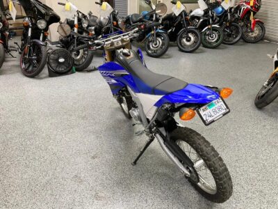 2019 Yamaha WR250R Dual Sport