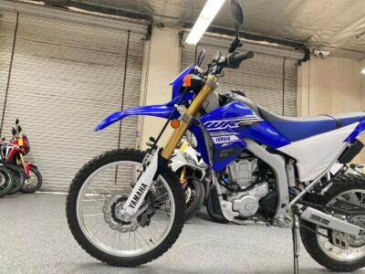2019 Yamaha WR250R Dual Sport