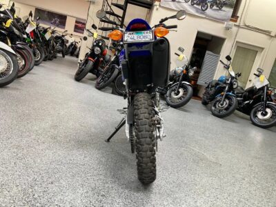 2019 Yamaha WR250R Dual Sport