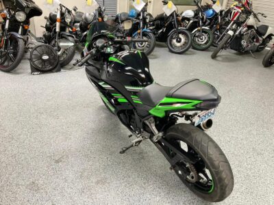 2017 Kawasaki Ninja 300 KRT EDITION ABS