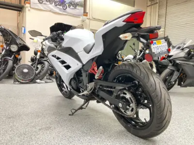 2015 Kawasaki Ninja 300 ABS