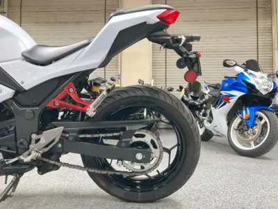 2015 Kawasaki Ninja 300 ABS