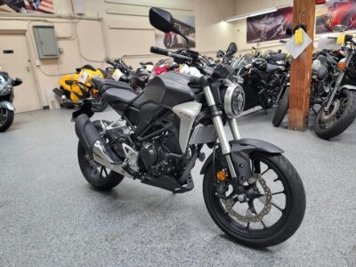 2019 HONDA CB300R