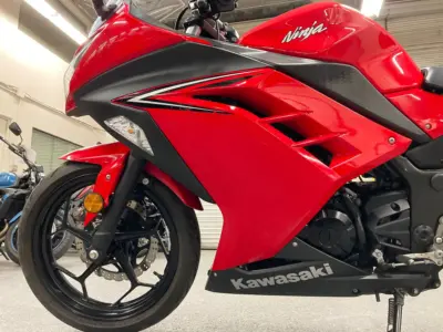 2016 Kawasaki Ninja 300