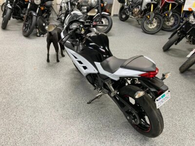 2014 Kawasaki Ninja 300