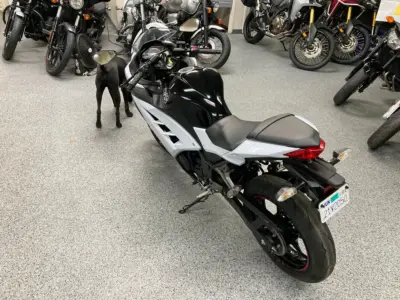 2014 Kawasaki Ninja 300