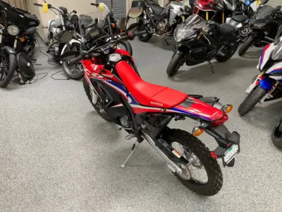 2019 HONDA CRF250L RALLY