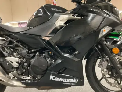 2019 Kawasaki Ninja 400
