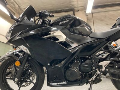 2019 Kawasaki Ninja 400