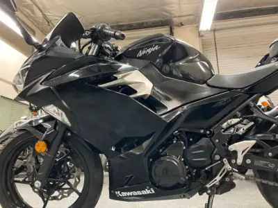 2019 Kawasaki Ninja 400