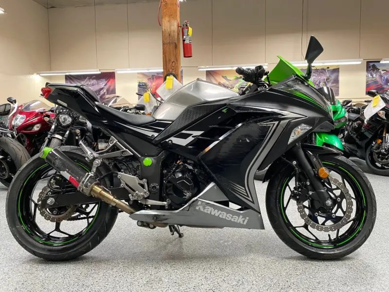 2015 Kawasaki Ninja 300