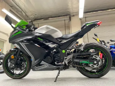 2015 Kawasaki Ninja 300
