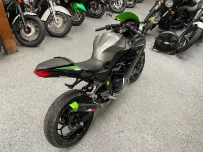 2015 Kawasaki Ninja 300
