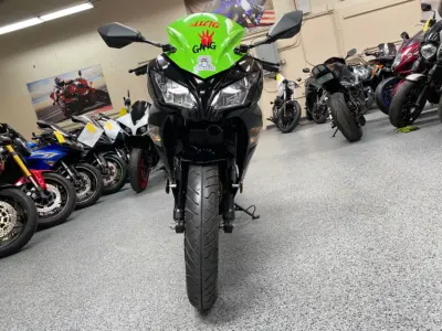 2015 Kawasaki Ninja 300