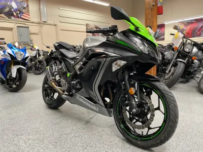 2015 Kawasaki Ninja 300
